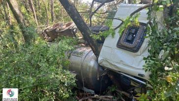 Caminhão carregado com soro para suínos sai da pista e tomba em Xaxim
