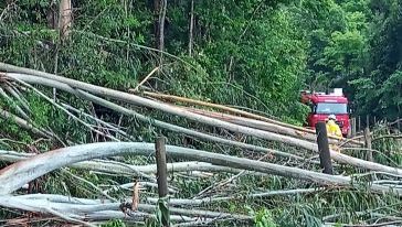 Bombeiros retiram cerca de 20 árvores e liberam estrada na Linha Cambuizal, em Xanxerê