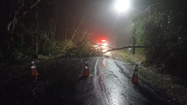 Foto: Prefeitura de Balneário Camboriú/Divulgação