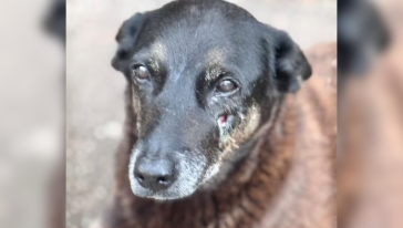 Foto: Reprodução/Redes sociais