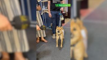 VÍDEO: Nem só de gravações sérias vive uma cobertura!