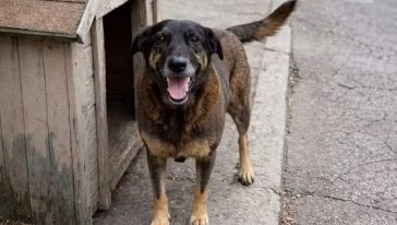 Foto: Reprodução Internet