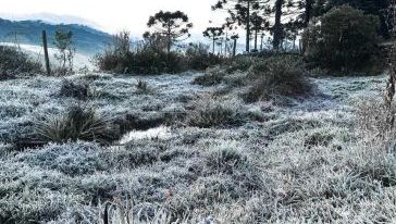 Neve, geada, sincelo e chuva congelada: entenda os fenômenos do frio extremo em SC