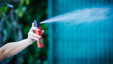 Foto: Bruno Collaço/Agência Alesc