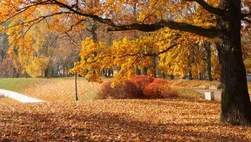VÍDEO: o outono começa nesta sexta-feira (20), mas o clima ainda segue com características de verão em Santa Catarina.