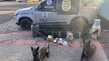 MPSC recorre ao STJ contra decisão que anulou apreensão de mais de 70 kg de drogas e armas