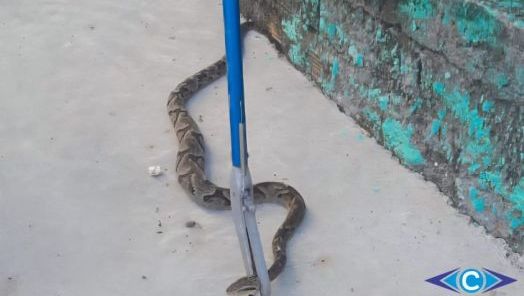 Foto: Rádio Capinzal