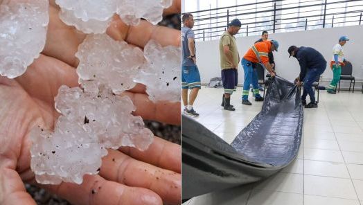 (Foto: Divulgação/Leo Munhoz/Montagem)