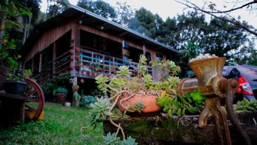 Foto: Divulgação/Canal Ideal