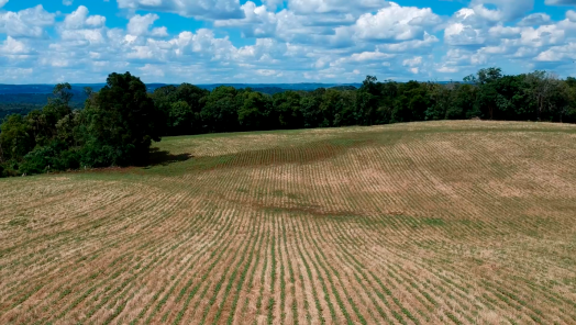 MPSC obtém decisão que impõe prazo para implementação efetiva do Cadastro Ambiental Rural em Santa Catarina