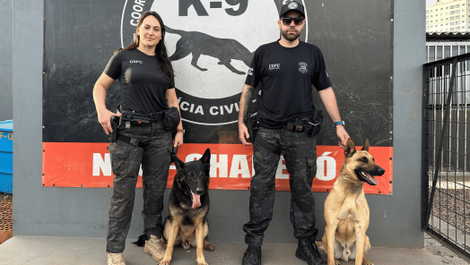 (Foto: Daiane da Silva)