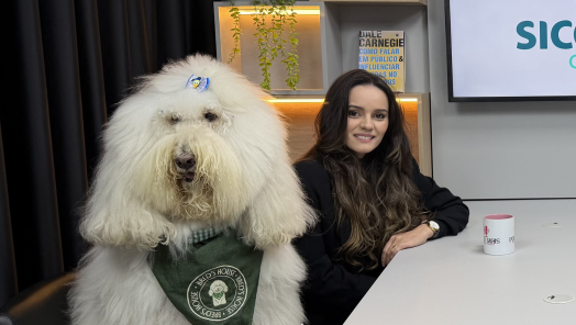 VÍDEO: você já ouviu falar em CÃOxinhas? 