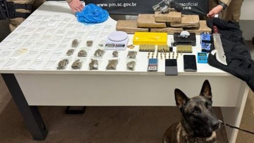 Canil encontrou mais drogas durante as buscas (Foto: Polícia Militar)