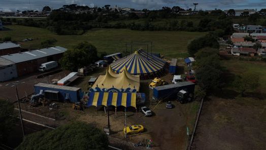  VÍDEO: o Dia do Circo, celebrado em 27 de março, destaca uma arte que atravessa gerações