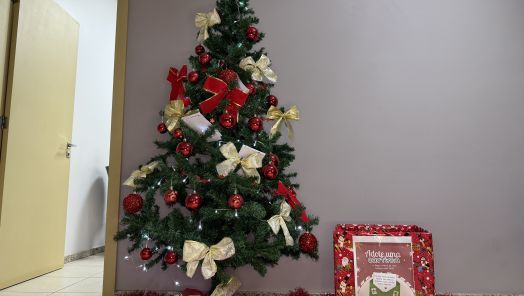 VÍDEO: adote uma cartinha na Rede Princesa e ajude a realizar sonhos de Natal