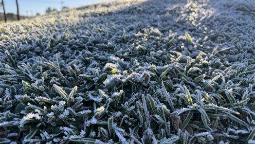 VÍDEO: inverno de 2025 será marcado por temperaturas mais baixas e acumulados de chuva 
