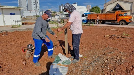 Prefeitura de Xanxerê realiza plantio de flamboyants no Ecoparque