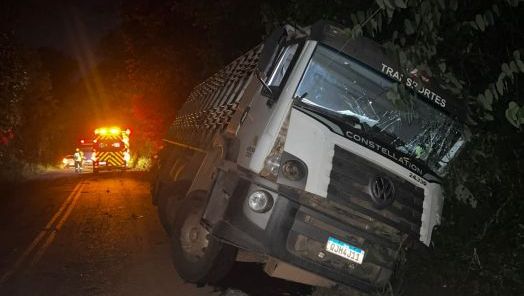Caminhão carregado de suínos sai da pista na SC-283 e motorista fica ferido