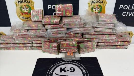 Polícia Civil apreende 22 kg de maconha e haxixe em mala de passageiro na BR-153 em Bom Jesus