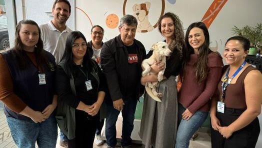 Programa de castração de cães e gatos encerra o ano com mais de 400 cirurgias em Abelardo Luz 