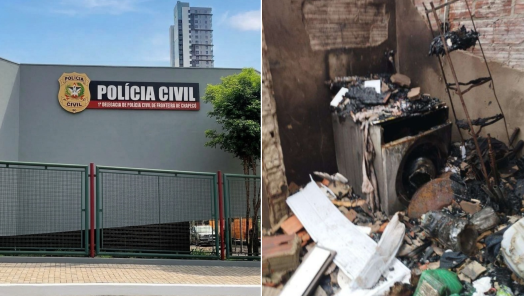 (Foto: Polícia Civil/Montagem Canal Ideal)