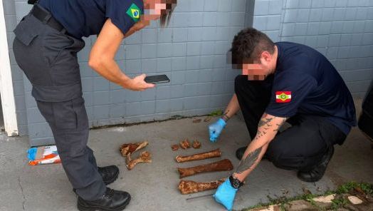 (Foto: Polícia Civil)