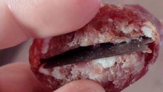 MPSC faz requisição para que a Polícia Civil apure caso de maus-tratos a animais em Concórdia 