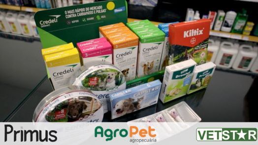 VÍDEO: Coleira, bisnaga ou comprimido? Qual é a melhor opção para proteger o seu pet?