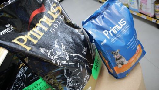 VÍDEO - Pets idosos ou com restrição alimentar: saiba como ajudá-los a ter uma vida saudável?