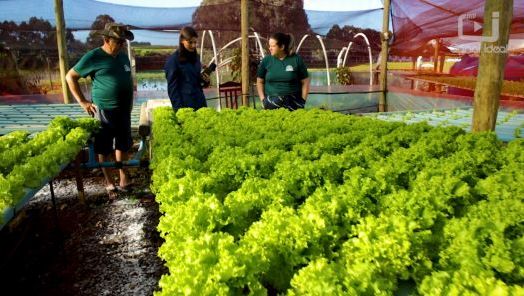 VÍDEO: O Agro Forte de hoje conta a história da Associação de Agricultores de Ipuaçu
