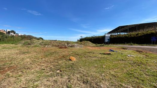 VÍDEO: lixo descartado no trevo do Bairro Pinheiro, em Xanxerê, é recolhido