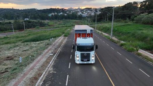 GT Transportes: Inovação e agilidade em cada entrega