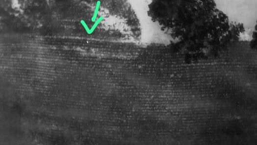 Idoso desaparecido é localizado por equipes do Corpo de Bombeiros 