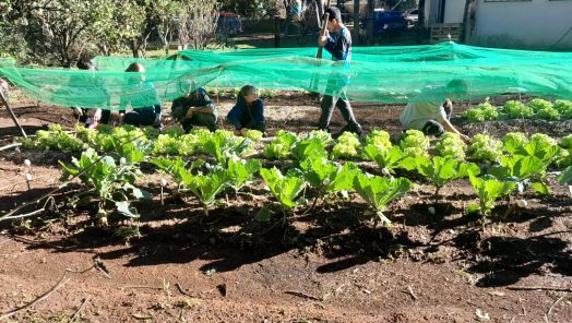 VÍDEO: escola de Campo de Xanxerê tem reconhecimento nacional com projeto Adote um Rio