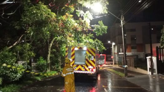 Temporal provoca queda de dezenas de árvores e mobiliza bombeiros em municípios do Oeste de SC