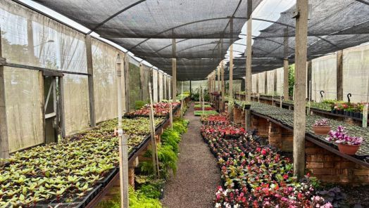 Harmoniza Chapecó realiza troca de resíduos orgânicos por flores