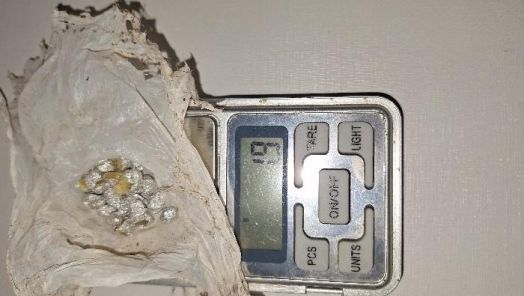 Homem de 23 anos é preso em Xanxerê por tráfico de drogas