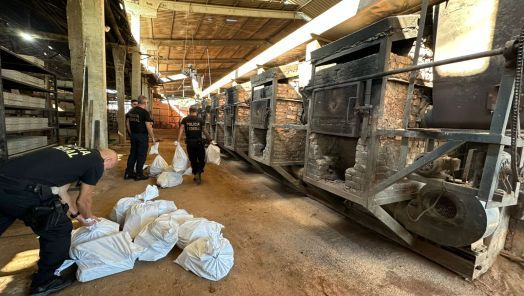 PF incinera cerca de 700 kg de drogas apreendidas em Santa Catarina