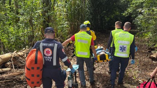 Trabalhador fica ferido após queda de árvore durante acidente de trabalho no interior de município do Oeste