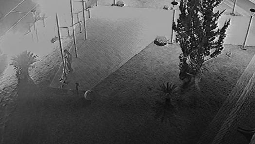 Foto: Assessoria de Comunicação