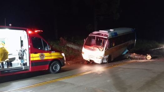 Queda de pinheiro bloqueia SC-305 e causa acidente com micro-ônibus no Oeste