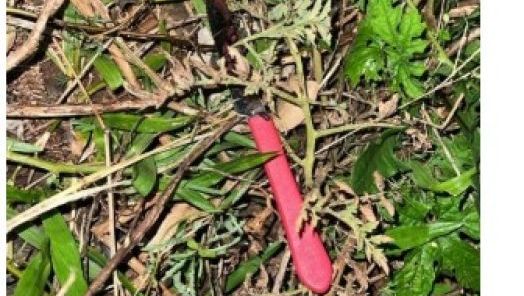 Homem é esfaqueado no Centro de Xanxerê e suspeito é preso na Rodoviária