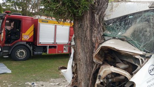 Caminhão colide contra árvore e deixa dois feridos no centro de Nova Erechim