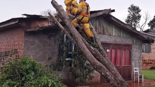 Queda de árvores atinge residências e mobiliza bombeiros em São Domingos