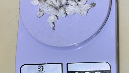 Polícia Civil desarticula ponto de tráfico e apreende drogas em São Domingos