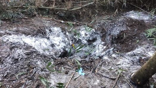 Polícia Civil encontra cadáver e prende quatro suspeitos durante investigação em Chapecó