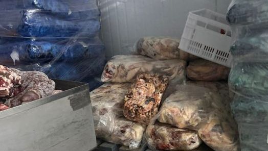 Operação conjunta interdita frigorífico por suspeita de fraude alimentar em Coronel Freitas