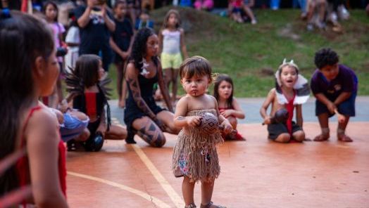 Semana cultural da Aldeia Toldo Chimbangue aborda a importância da cultura indígena na cura climática
