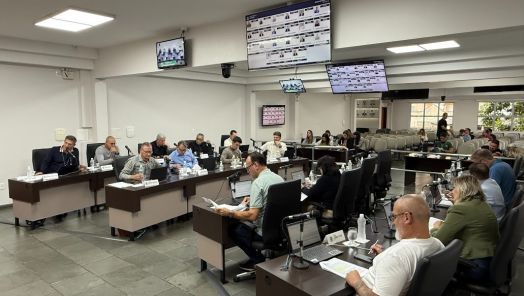 Moção propõe estudo para fornecimento de spray de pimenta a mulheres em Chapecó