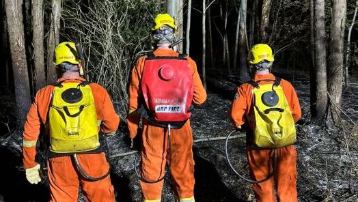 Incêndio em plantação de eucaliptos mobiliza bombeiros no interior de município do Oeste
